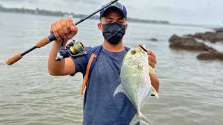 Mangrove jack and travelly on light setup micro lures / Goa fishing / India fishing