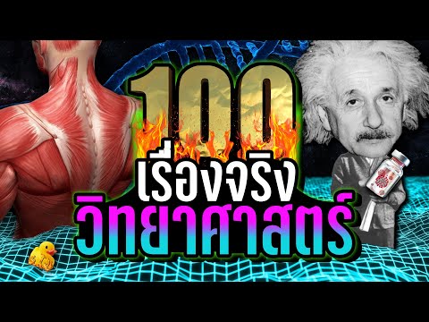 วีดีโอ: สัตว์เลี้ยงเผาศพ 101: สิ่งที่คุณต้องรู้ในการตัดสินใจ