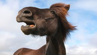 Unusually Strong Earthquake Near Reykjavik In July 2020 - What Next?