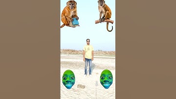 Which God do you believe in? #shankar ji #laxmi ji #ganesh ji #hanuman ji #relegious #devotion