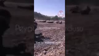 Özel Harekatçı olmanın, Jandarma olmanın, Bozkurt  olmanın gururunu yaşayanlarla gurur duyuyoruz