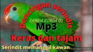 Suara Pikat Burung serindit ribut dan ampuh memanggil kawan || cocok untuk pikat dan masteran