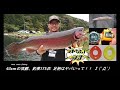６３ｃｍ頂鱒、バベルエースで１７５匹＠足柄キャスティングエリア  #エリアトラウト #エリアフィッシング