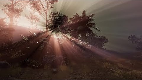 Sunset Beams Through Palm Trees | Motion Graphics - Videohive template