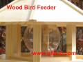 Bird Feeder and Bird House Bird Feeder and Bird House