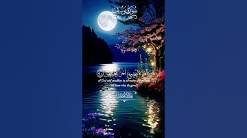#المصحف #القرآن_الكريم #تلاوة_خاشعة #اكسبلور #راحة_نفسية #duet #دويتو