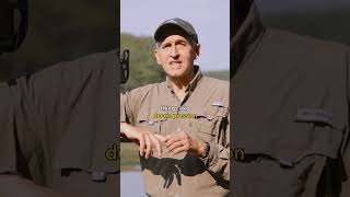 A Day in the Field with Ocean Photographer