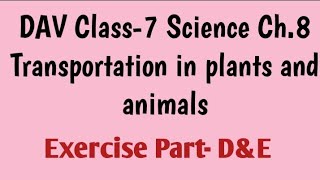 DAV Class 7 Science Ch.8 Transportation in plants and animals part - D&E