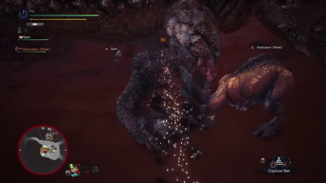 Monster Hunter: World - RRRRRumble In The Waste! (LANCE)