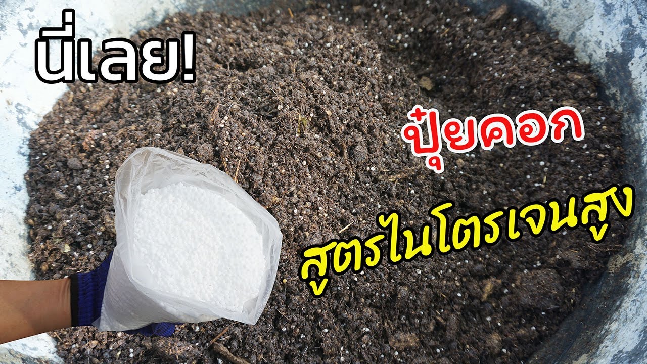 สูตรง่ายๆ ที่จะช่วยเพิ่มประสิทธิภาพปุ๋ยคอก (เพิ่มไนโตรเจน) หลายเท่าตัว ทำให้พืชโตไว ในระยะเวลาสั้นๆ
