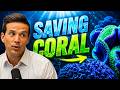 Florida’s Coral Reefs Are Dying… Can SeaWorld Save Them?