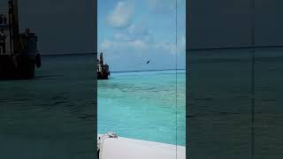 Excavator unloading to sea 💪 Amazing Heavy Equipment Machines Working – Satisfying Video