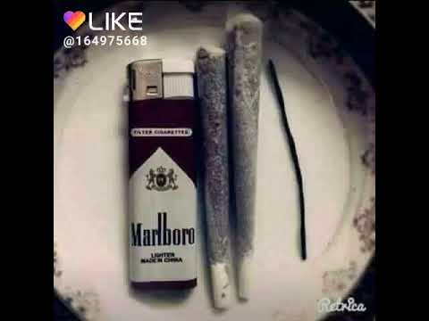 حاله جي وفي حكايه وقف وفي ايدي الجوبيه