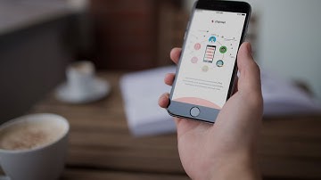 Z Channel & Z Wallet