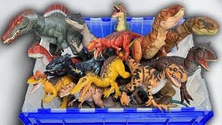 HUGE Predator vs. Predator Dinosaur Haul! | Tyrannosaurus Rex, Indominus Rex, Velociraptor and More!