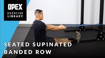 Seated Supinated Banded Row - OPEX Exercise Library