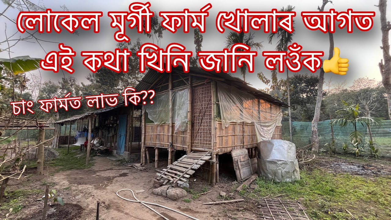 লোকেল মূৰ্গী ফাৰ্ম খোলাৰ আগত এইখিনি কথা জানি লওঁক 👍 