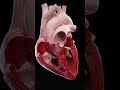 🧠🤣🤩🤩🤩 DID YOU KNOW⁉️❓️❓️❓️ Human Body! 🧠❤️🫀#HumanFacts #interestingfacts #creepy #human