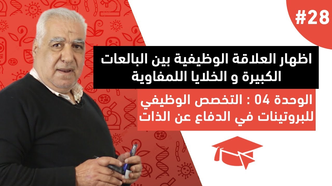 #28 العلاقة بين مصدر المستضد و نمط الاستجابة المناعية