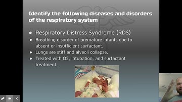 MAP - STRAND 12 - Google Slides