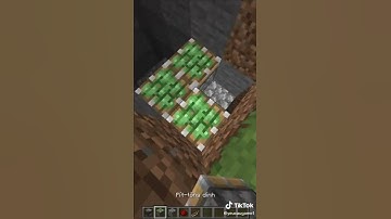 đây là cách làm hầm bí mật trong minecraft