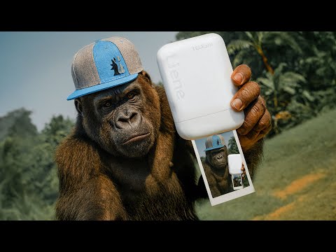 I Took This Pocket Printer To The Zoo… Here’s What Happened 🐯📸 | Telesin Liene Pearl K100