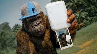 I Took This Pocket Printer To The Zoo… Here’s What Happened 🐯📸 | Telesin Liene Pearl K100