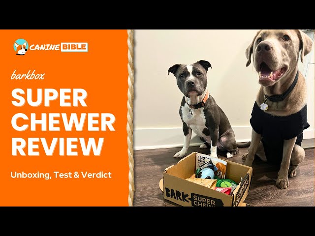 Barkbox Super Chewer Review Ratings