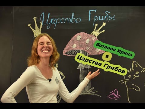 Биология I Царство грибы. Общая характеристика и строение. Биология ЕГЭ.