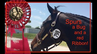 Spurs, a bug, and a red ribbon - with Linda Eder and Max