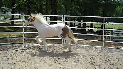 VID00035