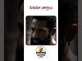 తాజా తెలుగు వార్తలు | Breaking News | రాజకీయాలు | దేశ విదేశీ | LIVE Updates #telugu #news #films
