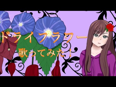 優里/ドライフラワー　ガチ泣きで歌ってみた
