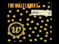 The Wallflowers - Invisible City