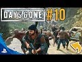 MOJA PIERWSZA WALKA Z HORDĄ😱! DAYS GONE #10