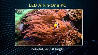 CCFL v s LED AIO
