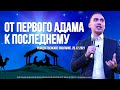 ОТ ПЕРВОГО АДАМА к ПОСЛЕДНЕМУ | РОЖДЕСТВЕНСКОЕ ПОСЛАНИЕ