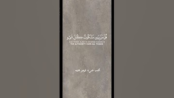 القارئ ماهر المعيقلي | اكتب شيء تؤجر عليه