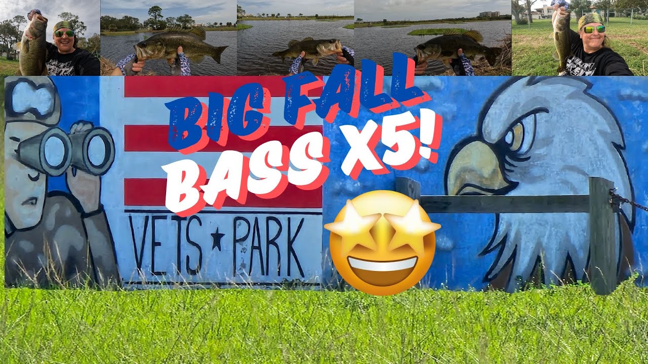 5 BASS FOR VETERANS' DAY using my best baits for fall fishing! #bass  #floridabass #bankfishing