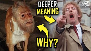 Invasion Of The Body Ers 1978 Ending Explained, Making Of, Differences & Film Ysis