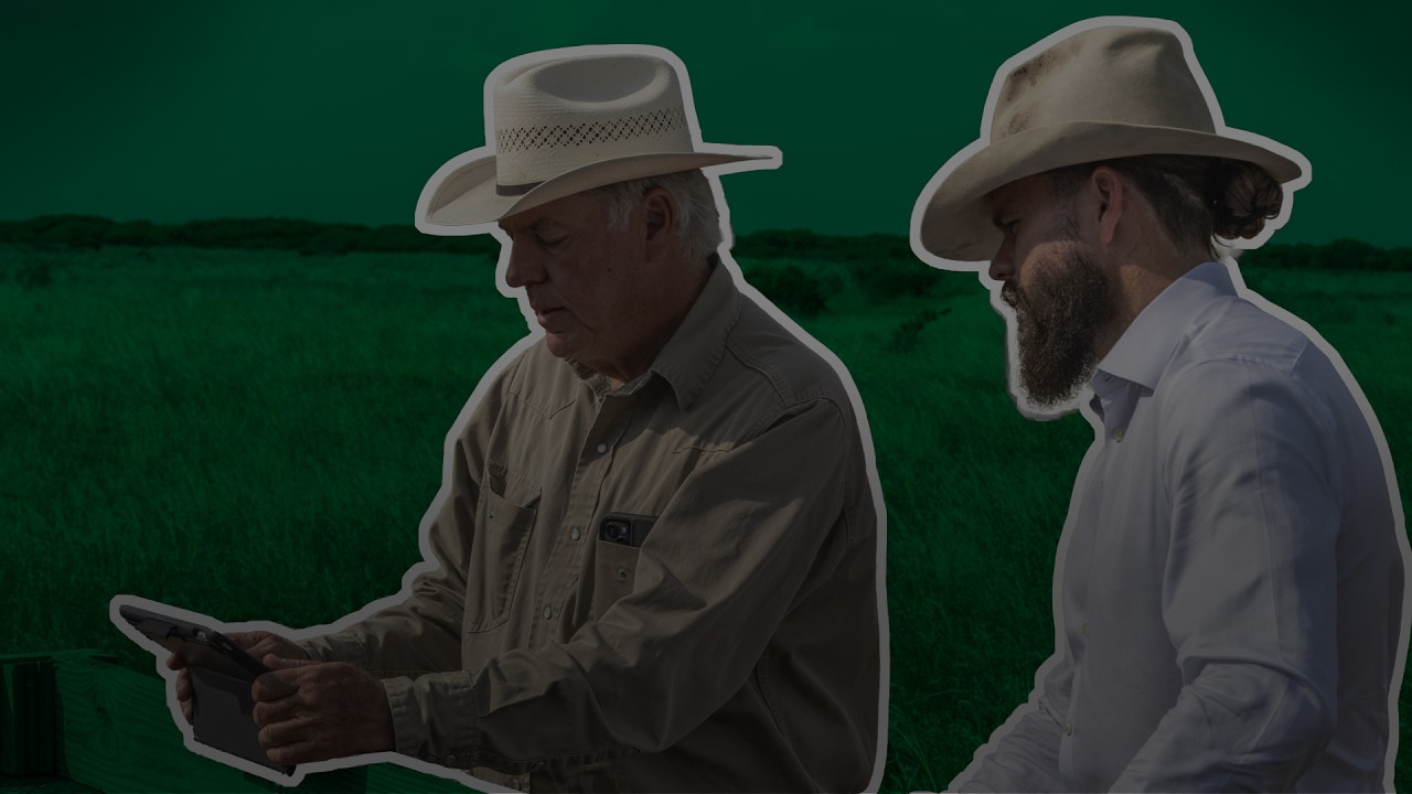 Ruminations from the pasture: Succession of McFaddin Ranch