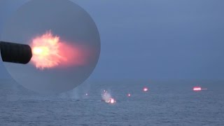 CIWS Gatling Gun \& Mk-38 Chain Gun Open Fire On Target Boats