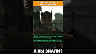 А вы знали, что рейдершу можно поработить в Fallout 3? #falo4 #fallout