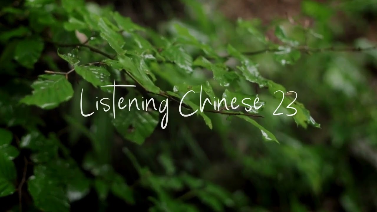 LISTENING CHINESE | Luyện nghe tiếng trung mỗi ngày | 23 (with subtitles)