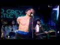 Iggy Pop live@ OGWT 1979