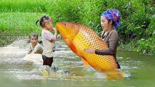 Trying LUCKY FISHING in an Abandoned Pond | Harvest Day Full of GIANT FISH of Ms Duong's Family