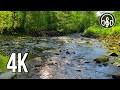 Gentle river. Sounds of flowing water without birdsong. 3 hours of video in 4K.