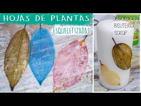 Video: 3 formas de deshacerse del aceite de cocina