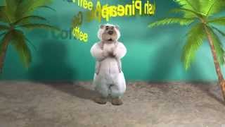 Energizer Dance   Charlie Bear   Agadoo