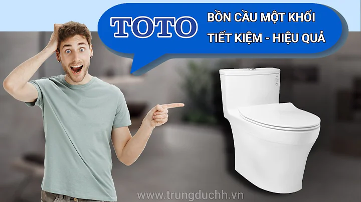 Đánh giá xả thử Bồn cầu một khối TOTO MS885DT8 nắp TC600VS | Nhà 5D [4k]